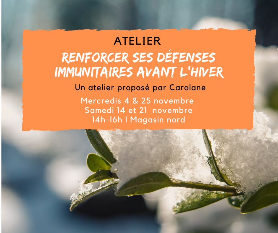 Atelier : Renforcer ses défenses immunitaires avant l'hiver Atelier : Renforcer ses défenses immunitaires avant l'hiver