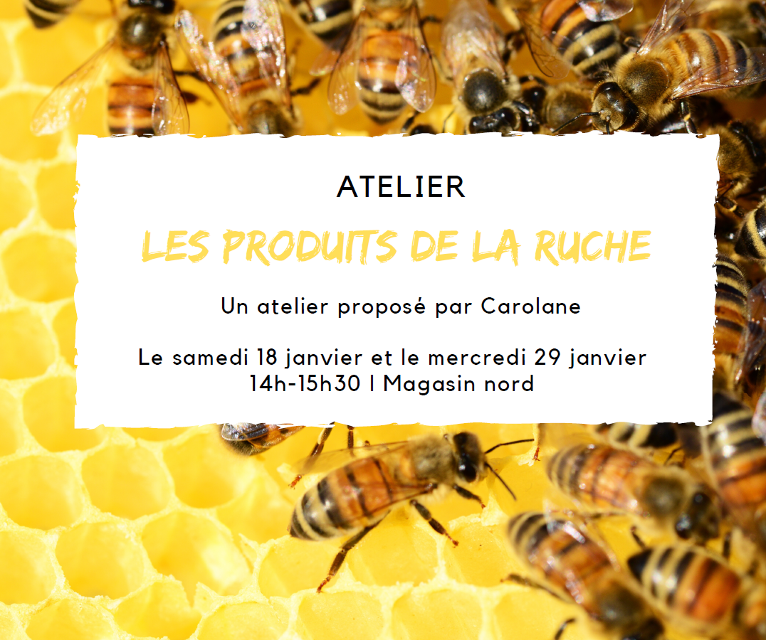 Atelier : les bienfaits des produits de la ruche Atelier : les bienfaits des produits de la ruche