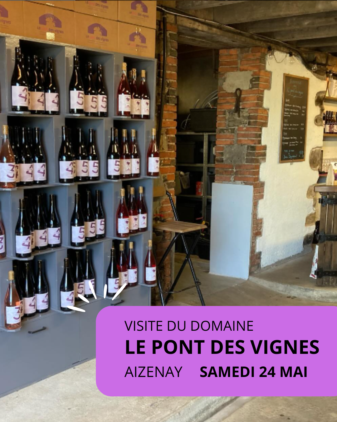 Visite du Domaine du Pont des Vignes à Aizenay