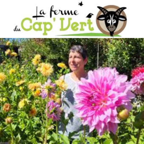 La Ferme du Cap'Vert La Ferme du Cap'Vert