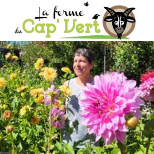 La Ferme du Cap'Vert