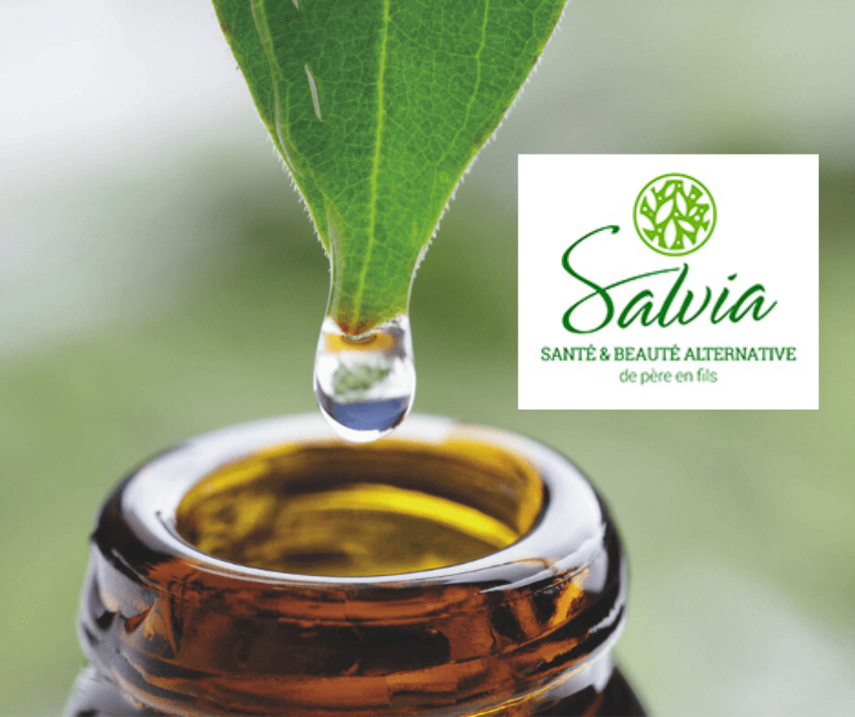 Salvia nutrition Salvia nutrition