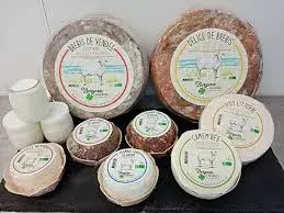 LA BERGERIE DU BRANDAIS LA BERGERIE DU BRANDAIS