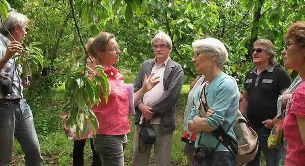  Verger de la Trottiniere