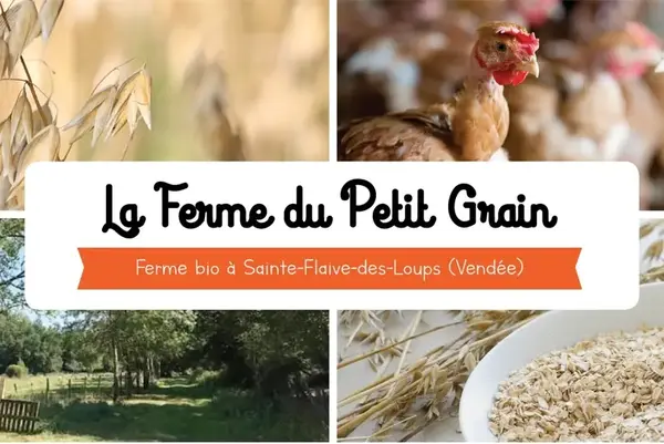 La Ferme du petit grain